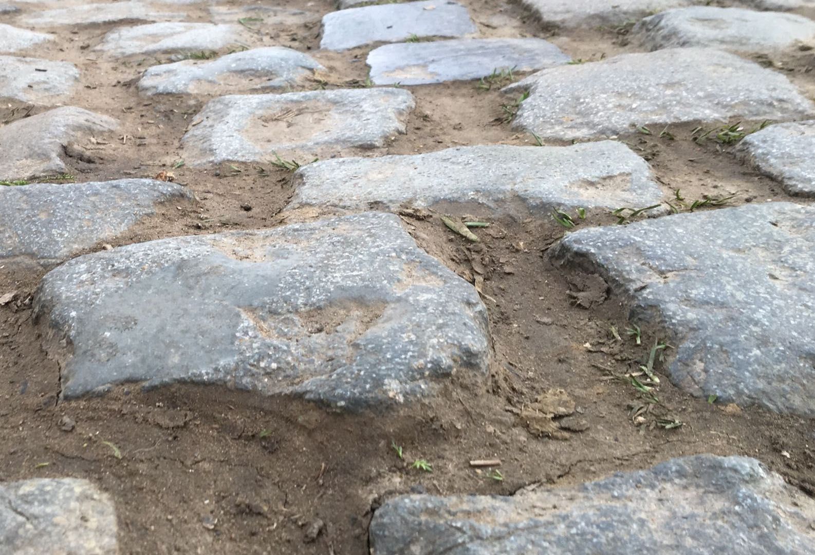 Cycling in Flanders: A Practical Guide to the Cobbles and Iconic Climbs