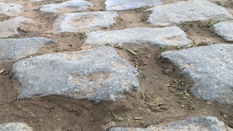 Cycling in Flanders: A Practical Guide to the Cobbles and Iconic Climbs