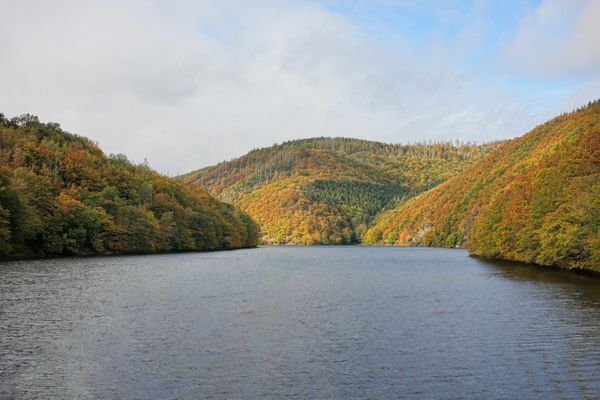 Nationalpark Eifel, Germany