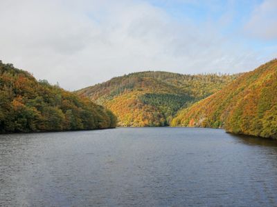 Cycling routes in Nationalpark Eifel