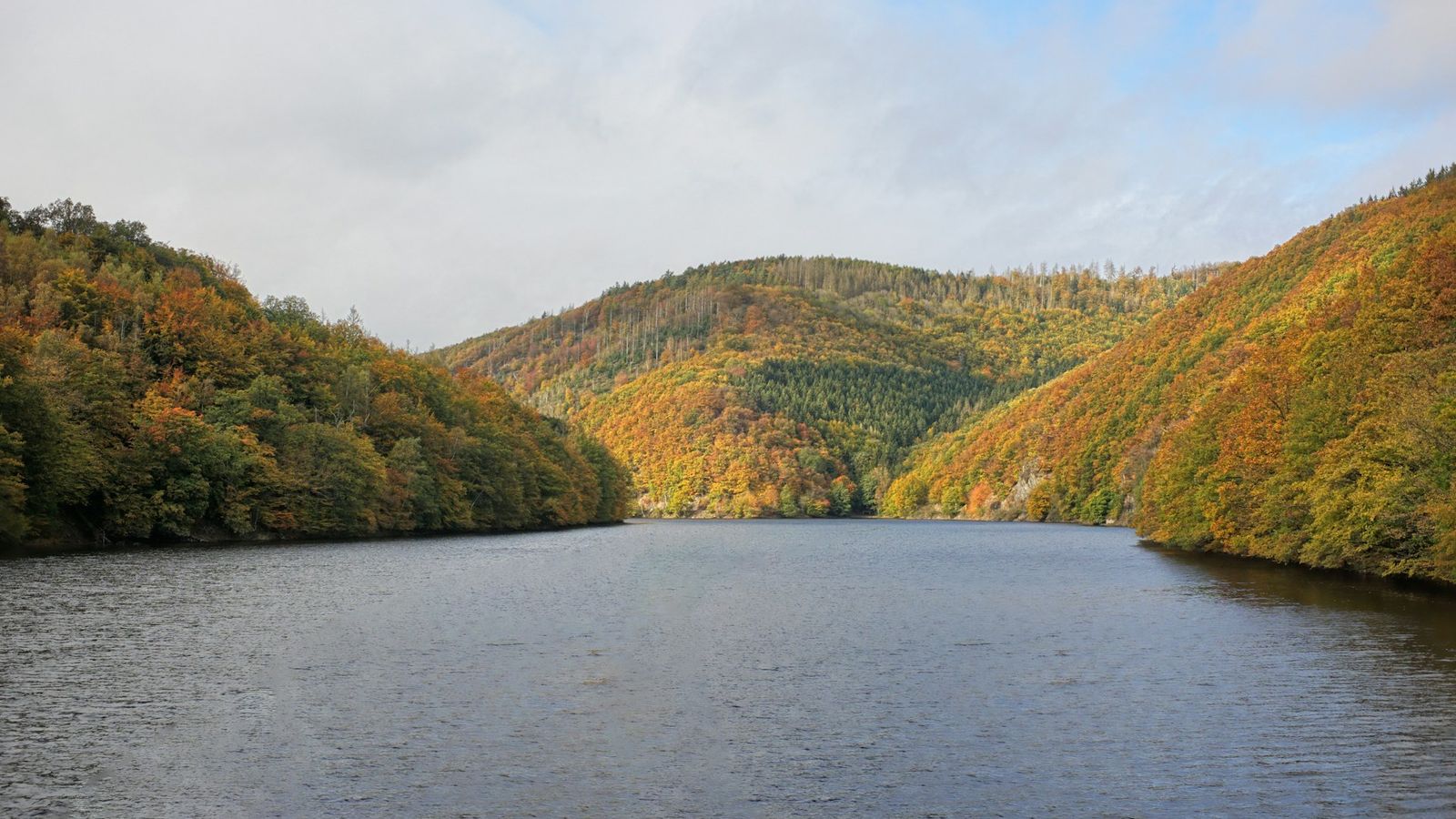 Nationalpark Eifel, Germany