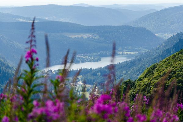 Vosges, France