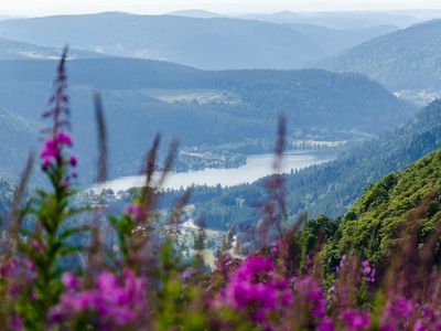 Cycling routes in Vosges