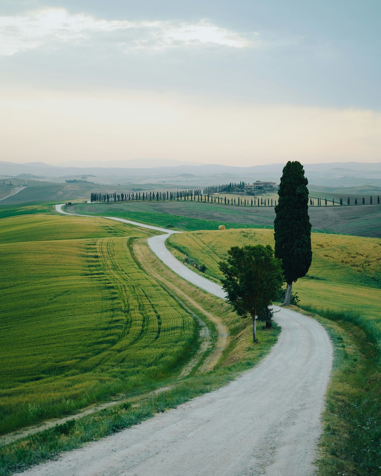 Siena - Tuscany, Italy