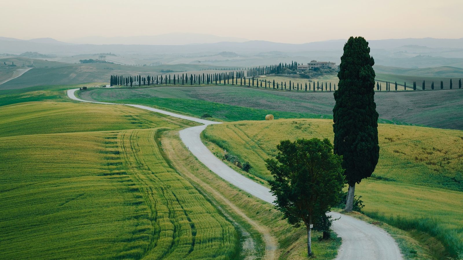 Sienna - Tuscany, Italy