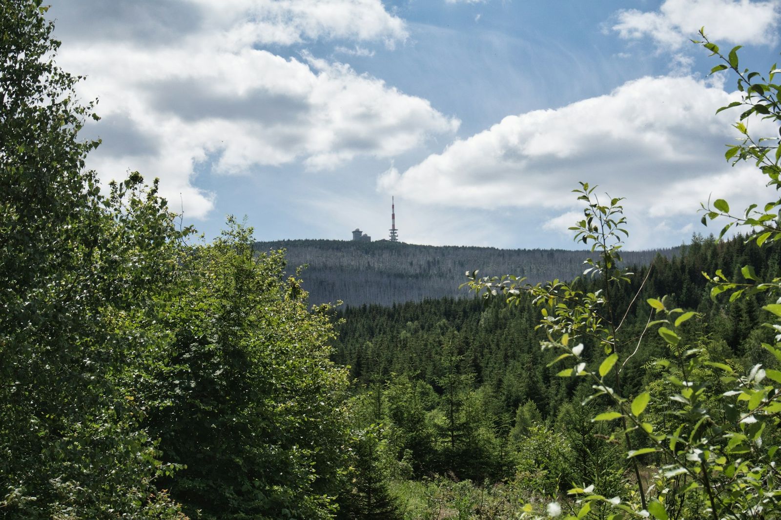 Harz, Germany