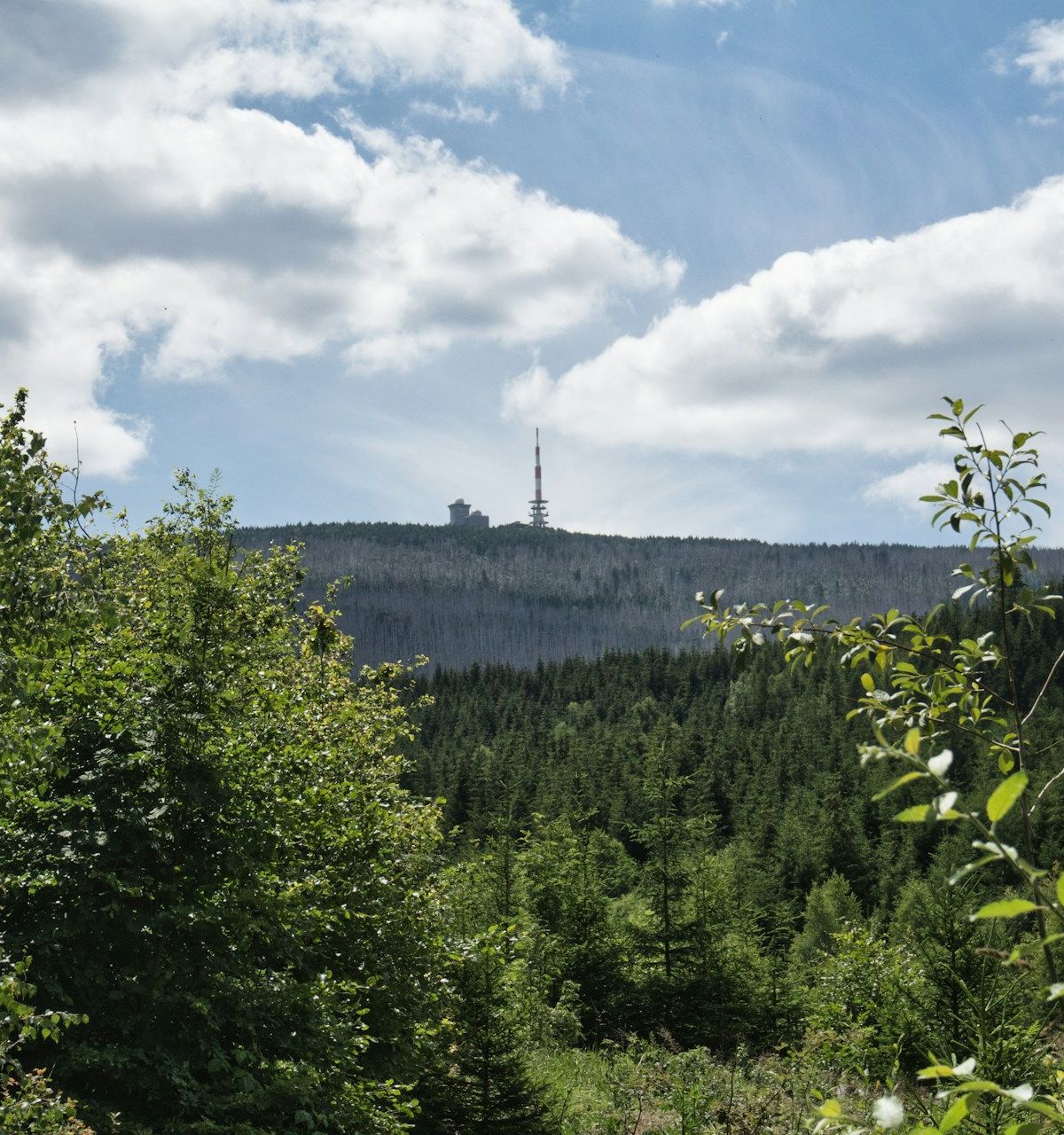 Harz, Germany