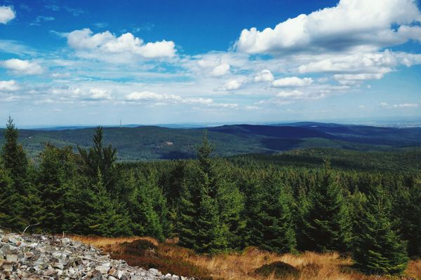 Taunus, Germany