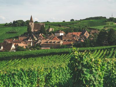 Alsace Vineyards, France