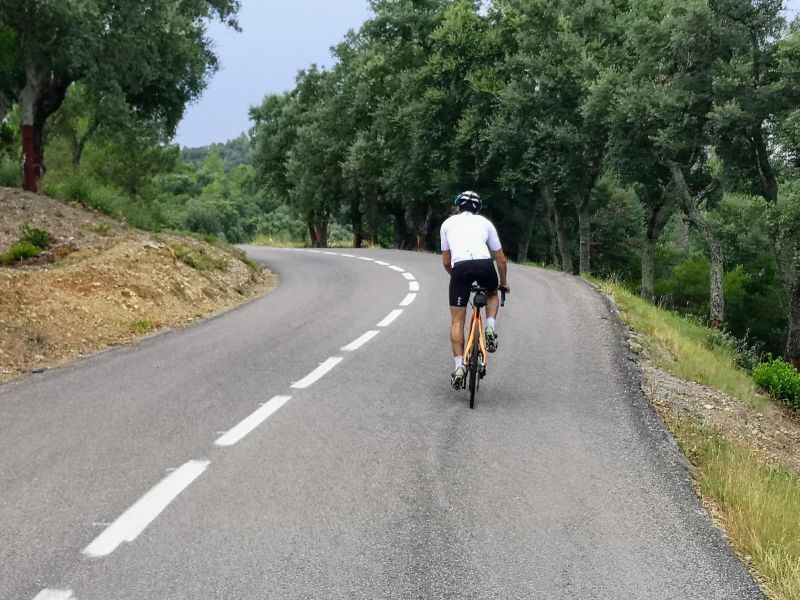 Santa Pellaia