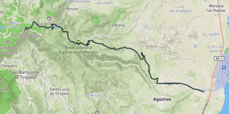 Pico de Las Nieves from Carrizal elevation profile