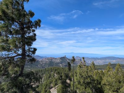 Pico de Las Nieves from Maspalomas - Photo 15