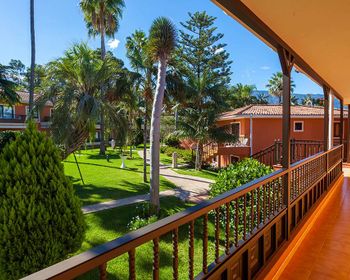 Apartamentos Ambassador