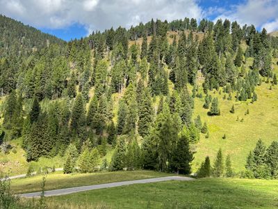Passo di Pampeago - Photo 3