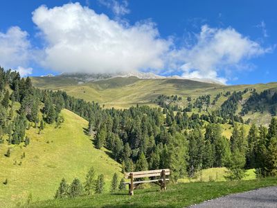 Passo di Pampeago - Photo 7