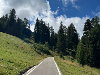 Passo di Pampeago - Photo 9