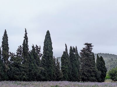 Holy Hill Tops - Photo 1