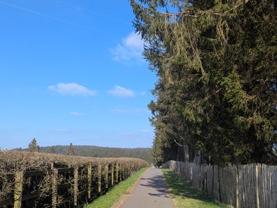 The Reservoir Loop - Photo 3