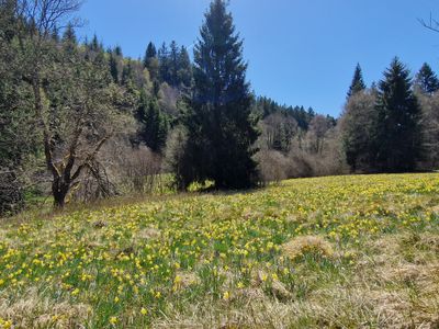 The Reservoir Loop - Photo 15