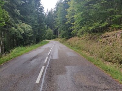 Vosges Epic Climbing & Descending - Photo 1