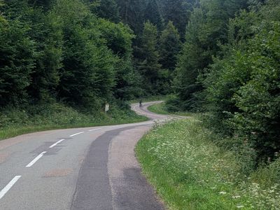Vosges South-North traverse - Photo 15