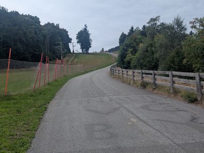 Vosges South-North traverse - Photo 27