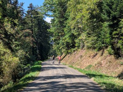 Le Linge - WW1 loop - Photo 18