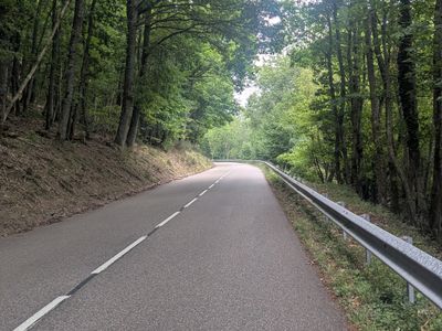 Vosges South-North traverse - Photo 63