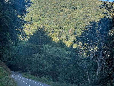 Vosges Epic Climbing & Descending - Photo 13