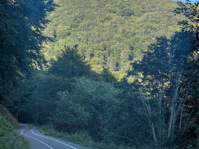 Col du Grand Ballon via Col du Haag