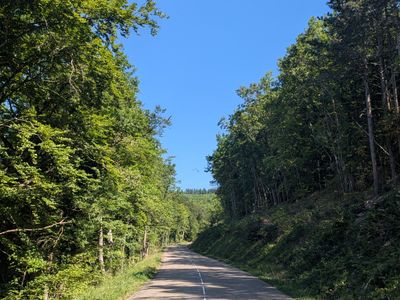 Le Linge - WW1 loop - Photo 4