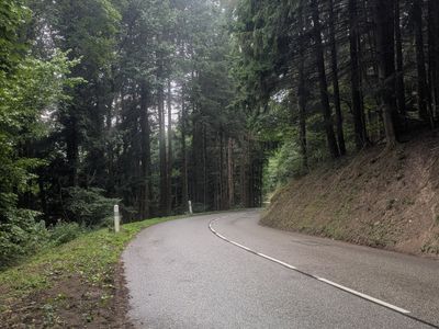 Vosges South-North traverse - Photo 62