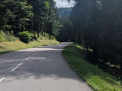 Vosges Epic Climbing & Descending - Photo 12