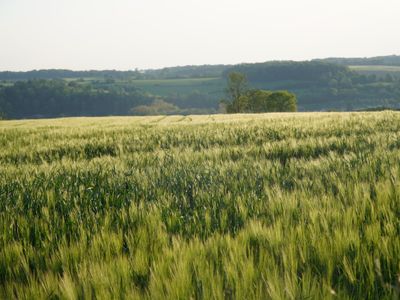Vaalserberg Loop - Photo 41