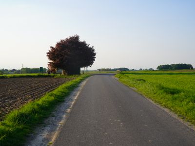 Eyserbosweg - Photo 3