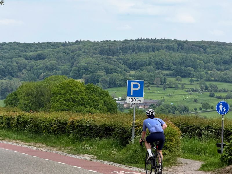 Eperheide