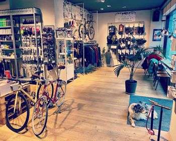 Alley Cat Bikes & Coffee