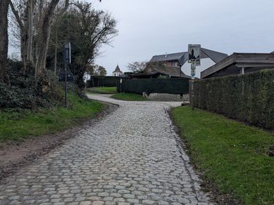 Oude Kwaremont - Photo 2