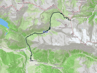 Passo dello Stelvio from Bormio
