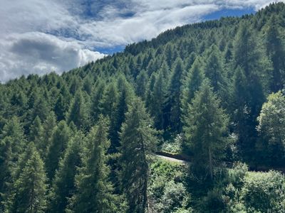 Mortirolo Per Favore - Photo 10