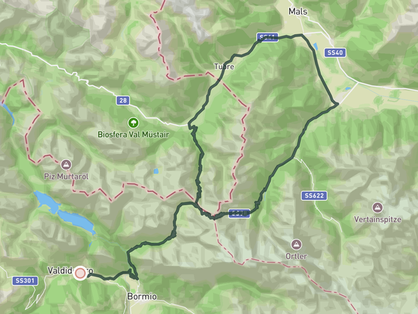 Double Stelvio route map