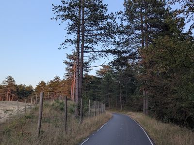 Amsterdamse Waterleidingduinen - Photo 6