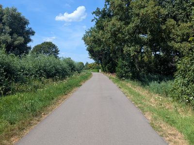 Old Dutch - Photo 9