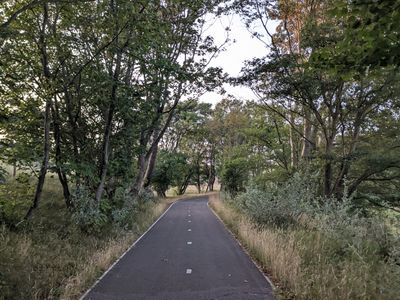 Amsterdamse Waterleidingduinen - Photo 3