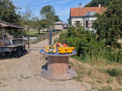 Old Dutch - Photo 25