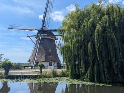 Old Dutch - Photo 17