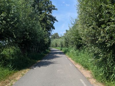 Old Dutch - Photo 4