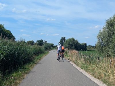 Old Dutch - Photo 32