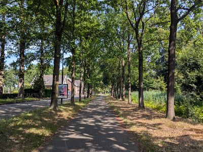Cees Bol Classic - Photo 7