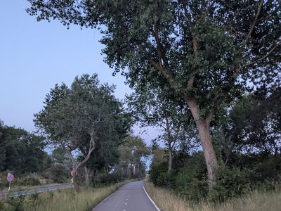 Amsterdamse Waterleidingduinen - Photo 14